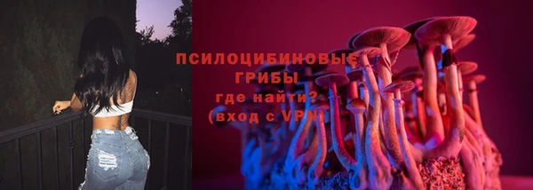 2c-b Алзамай