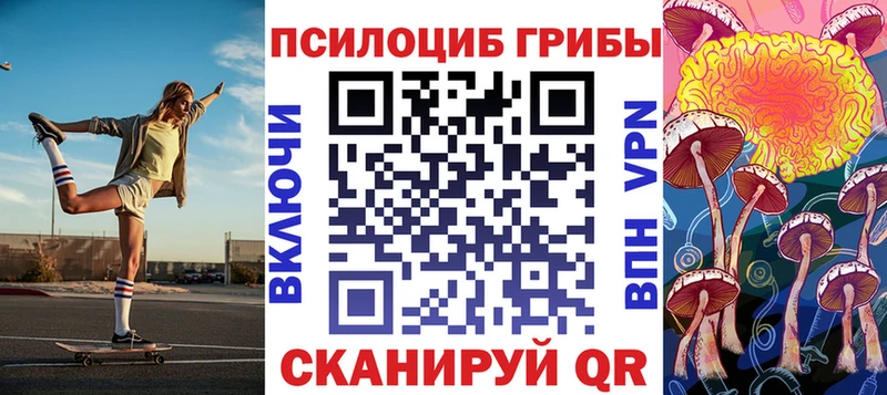 Псилоцибиновые грибы Cubensis  Котельники 