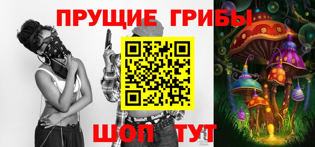 Котельники  Галлюциногенные грибы ЛСД  Галлюциногенные грибы Psilocybe  Вход с VPN 