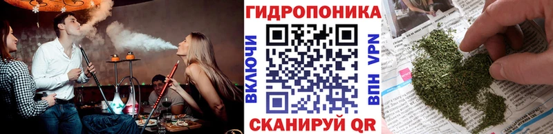 наркотики Котельники Канабис ГИДРОПОН